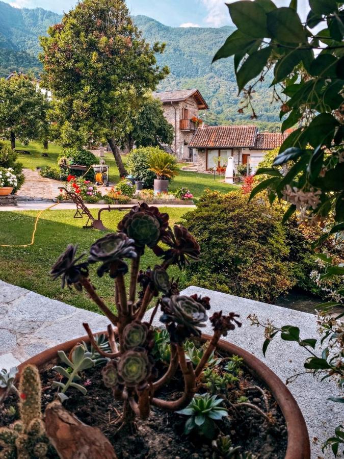La Volta - Lake Como Heritage Home In Molino Maufet Watermill - Patio On The Garden Colico Luaran gambar